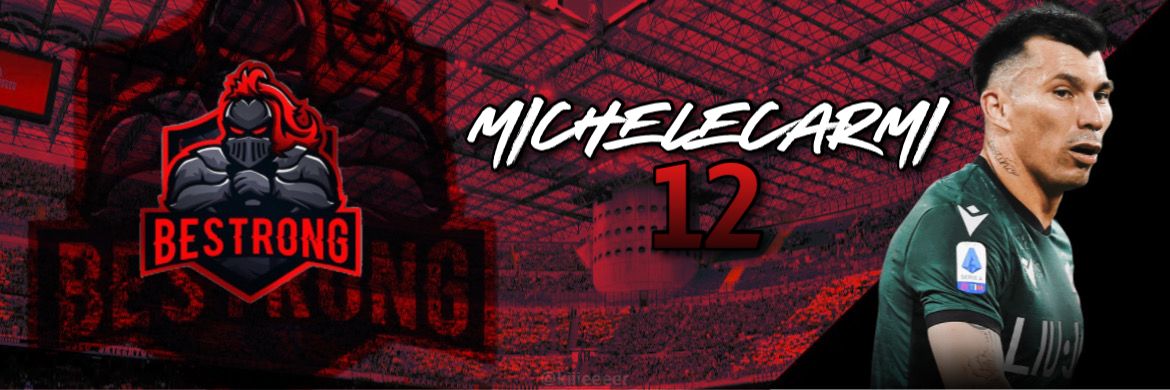 michele banner