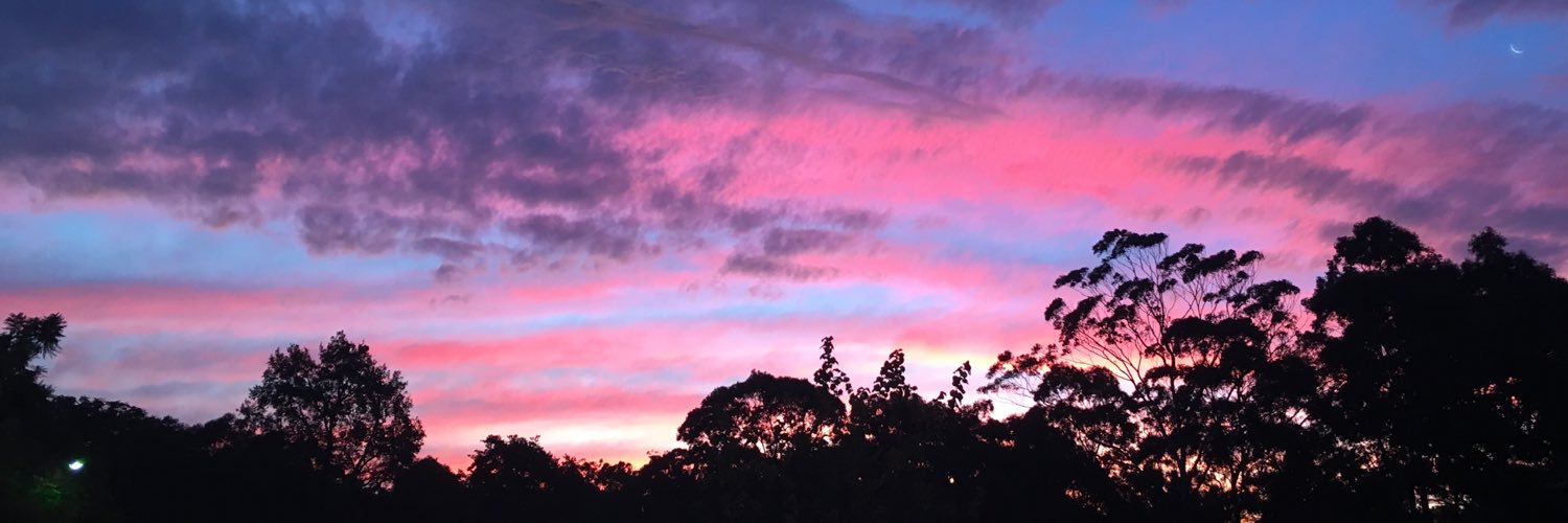 xx_liss's profile banner image
