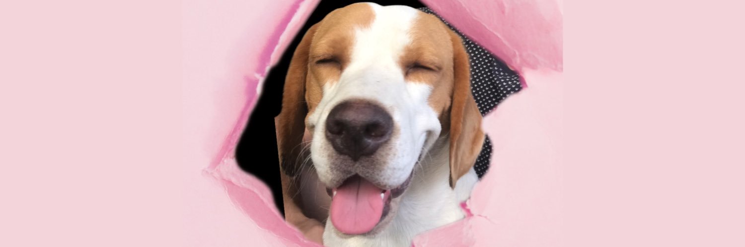 fernandobelocio's profile banner image