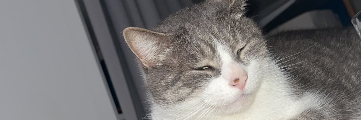 JordanMollet's profile banner image