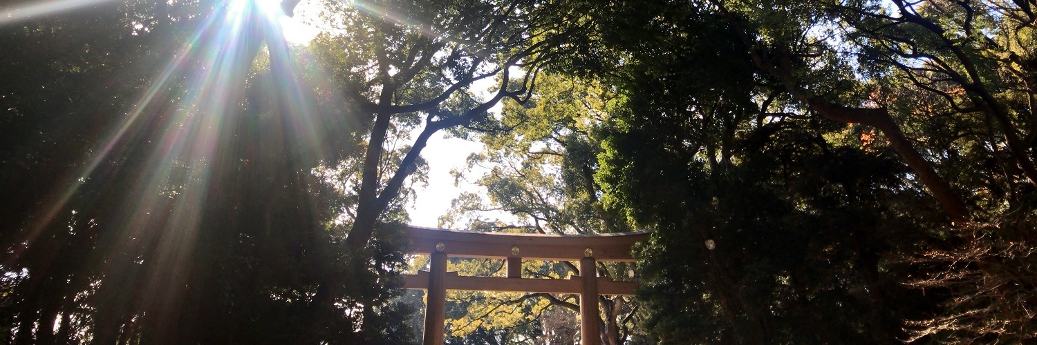 しばえび's banner