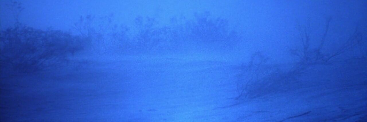 btcmerlin banner