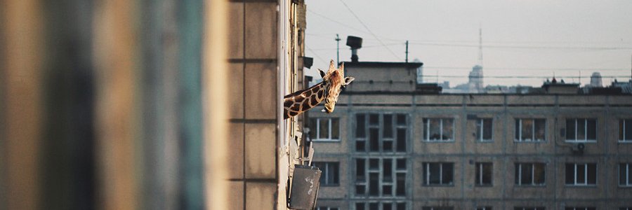 samia_f's profile banner image