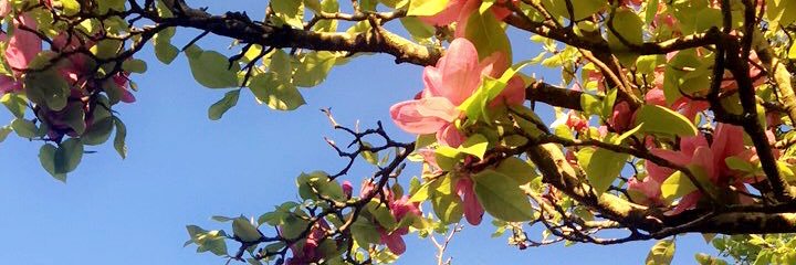 Eline_BL's profile banner image