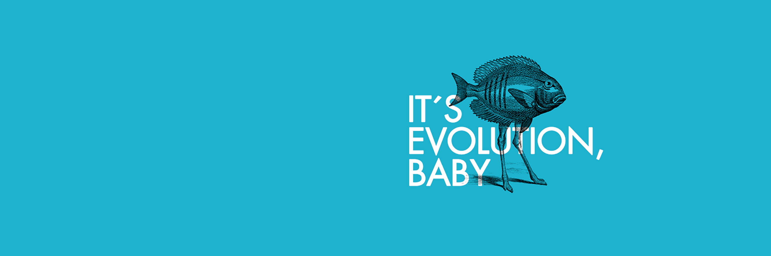 Darwin&Co banner