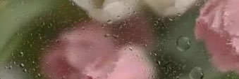 ꮺ ออดอ🌷 ഒ banner