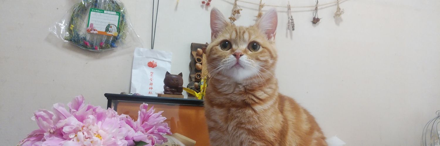 Realm_of_Cat's profile banner image