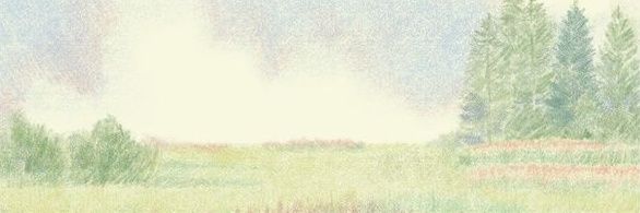 nasywu's profile banner image
