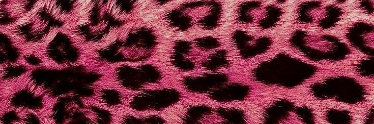 ilynamu_'s profile banner image
