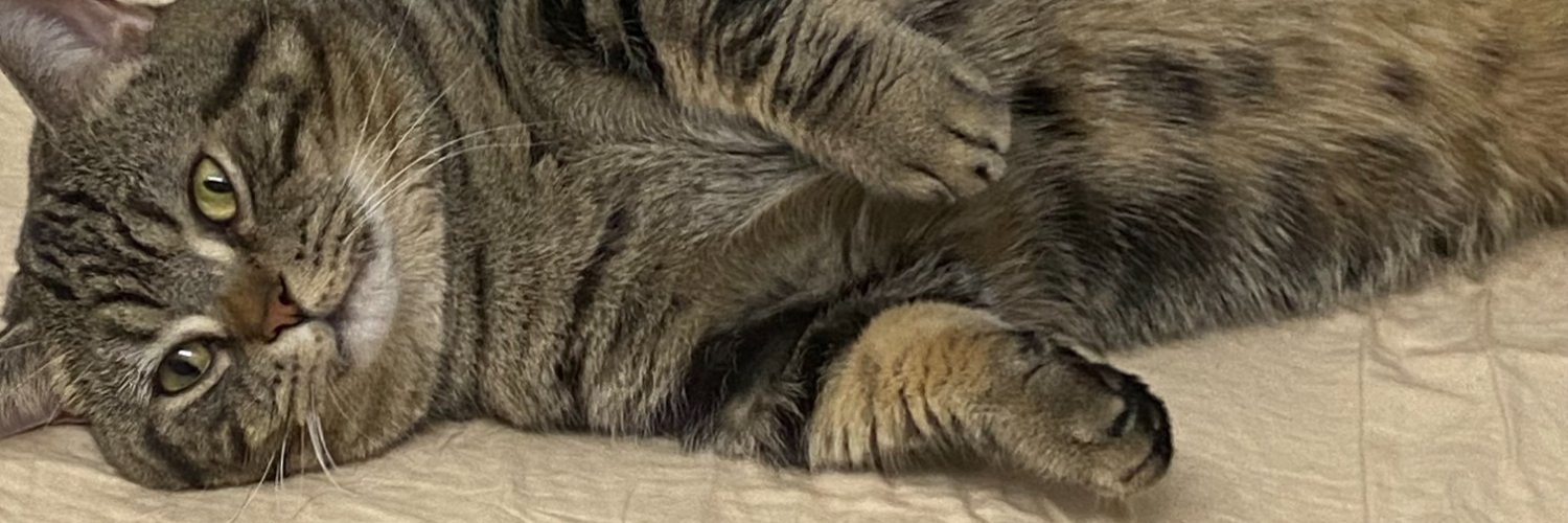 usagei_77's profile banner image
