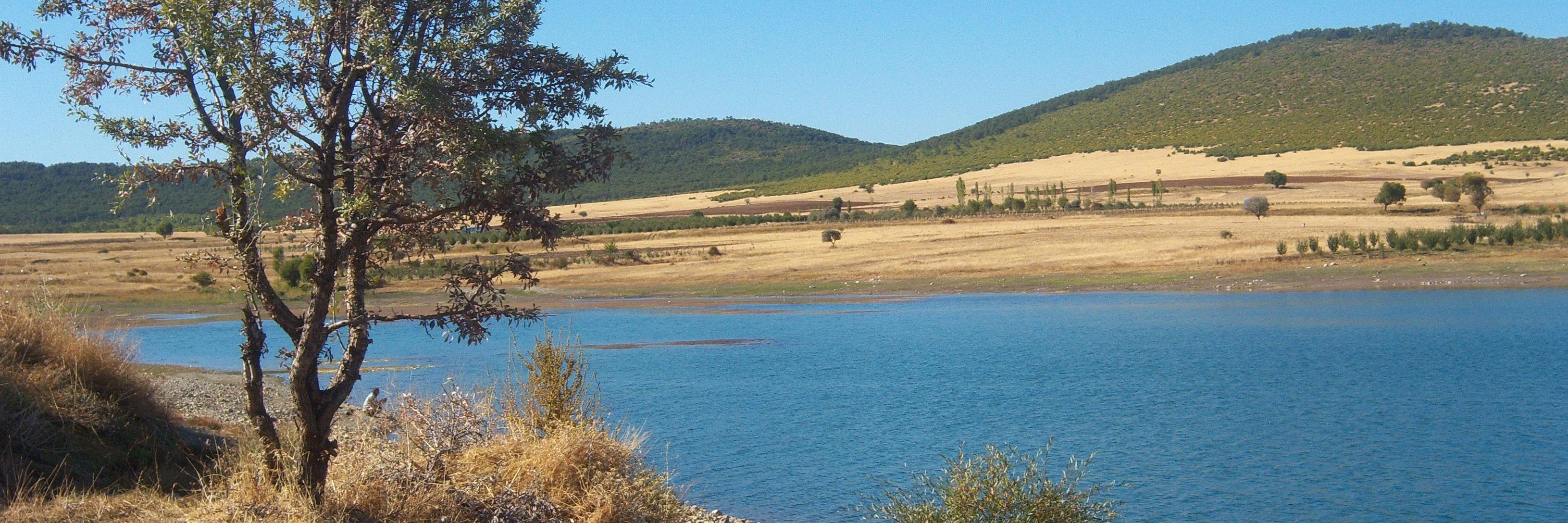 Adige_Erdal's profile banner image