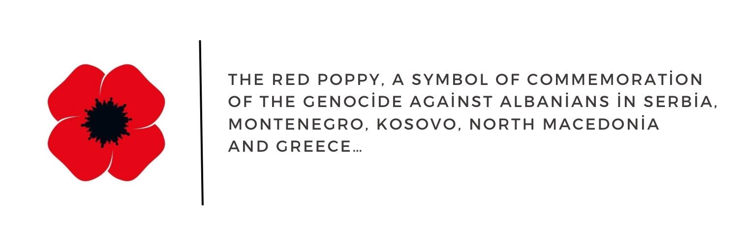 RedPoppySymbol's profile banner image