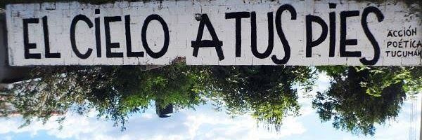 Allyson 🇧🇷 banner