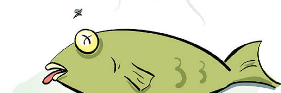 janchichelli's profile banner image