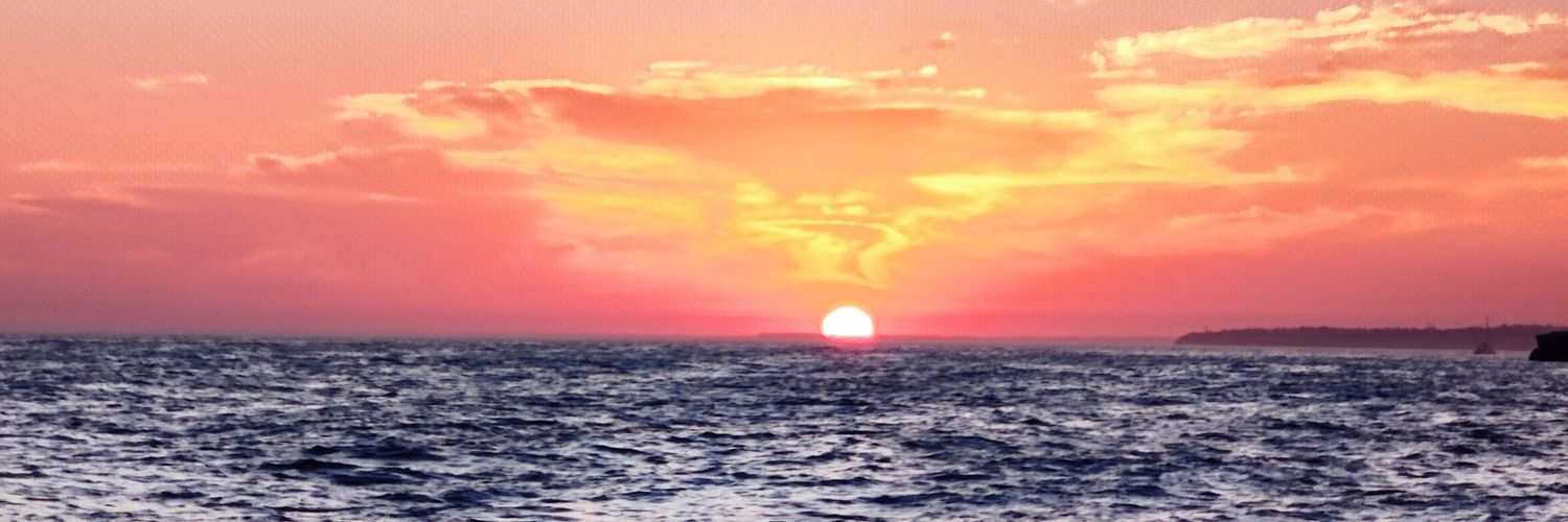 michaelfinucane's profile banner image