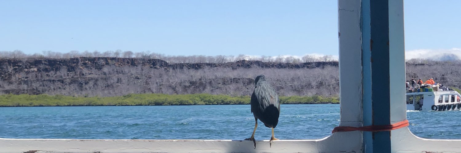 norasalgado's profile banner image