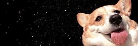 okamitoryu's profile banner image