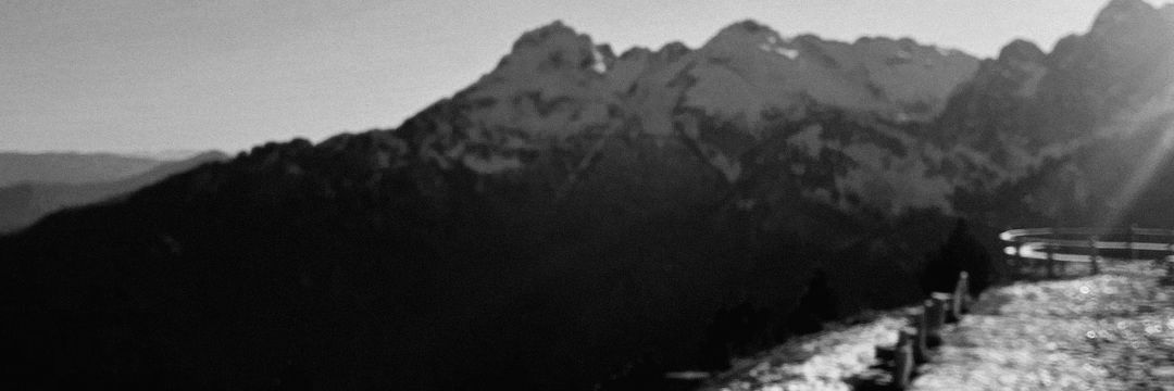 M banner