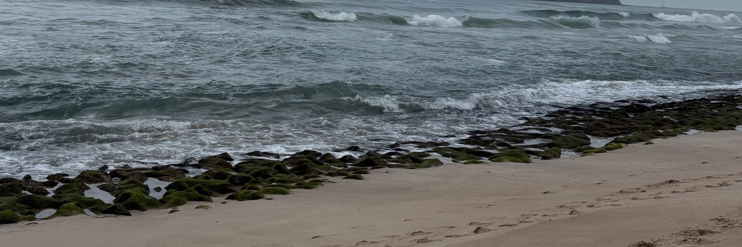 Saulnoerb's profile banner image