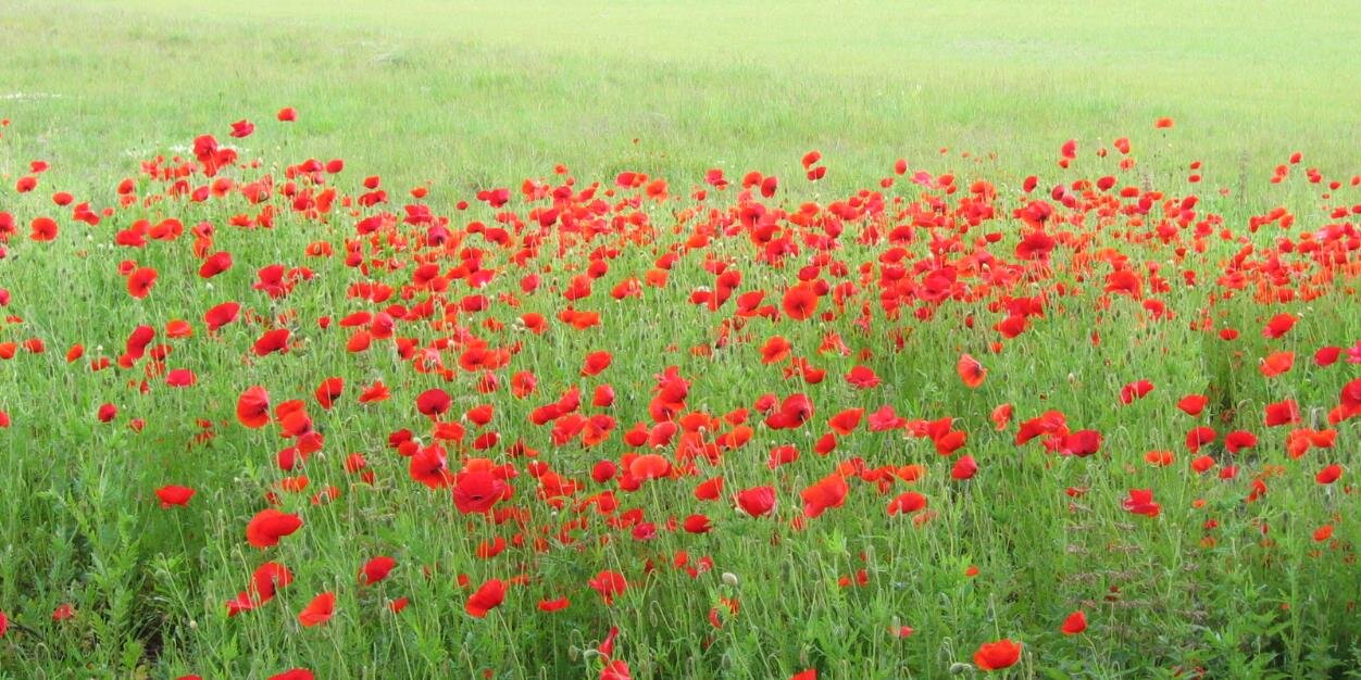 Aad van Uffelen banner