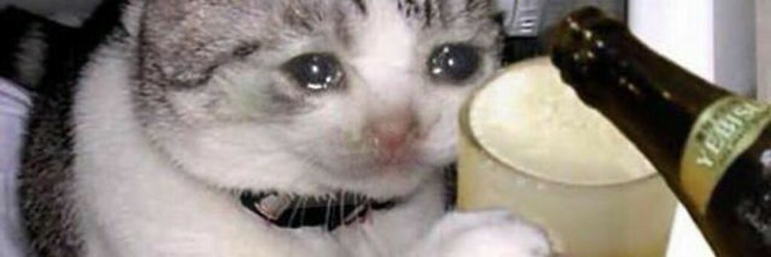 rato pelado que caiu no mato banner