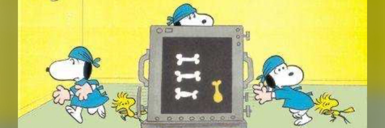 Following For Fun RT-R,QM, CDE 🇺🇦🌻😷💉+💉 banner