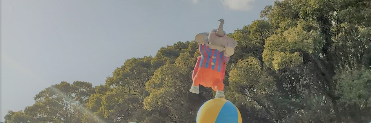 _amcf_'s profile banner image