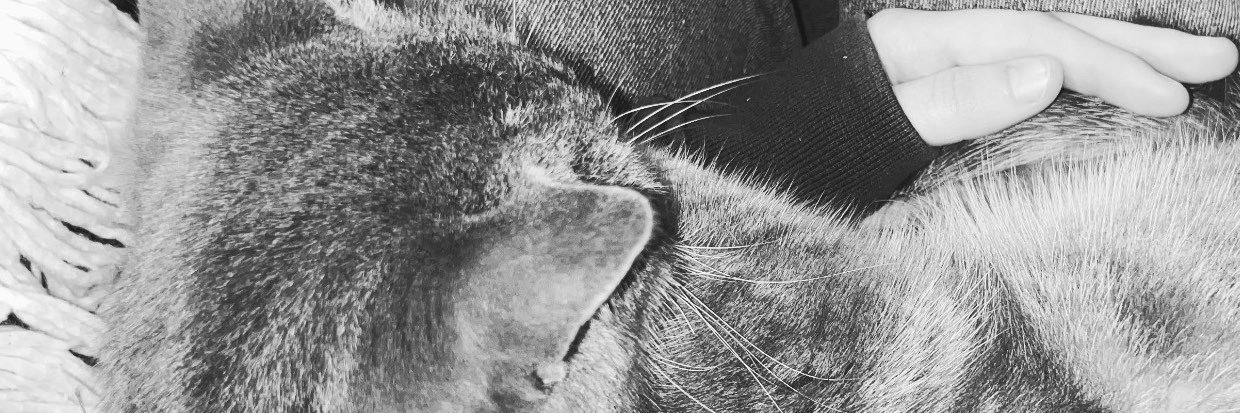 vaalbaez's profile banner image
