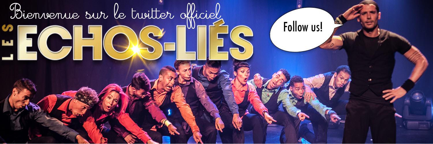 echoslies's profile banner image