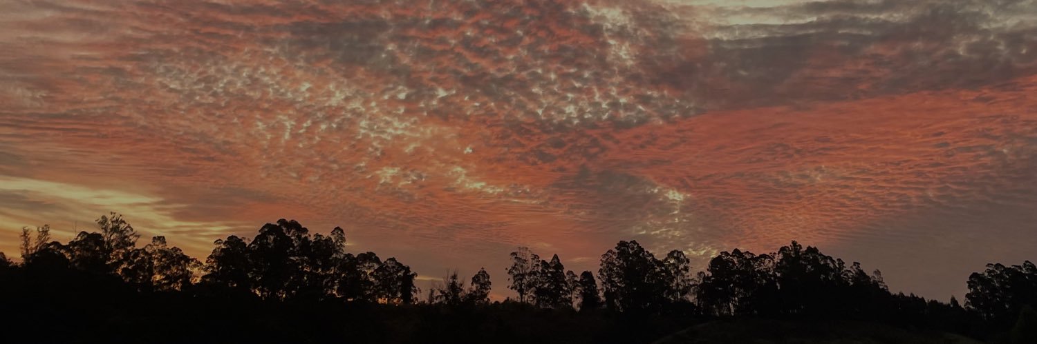 pedro_formis's profile banner image