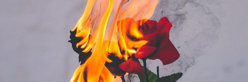 DoubleYou_17's profile banner image