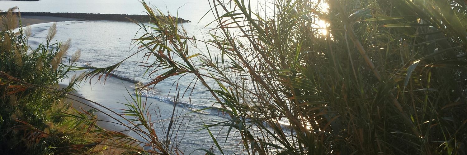 Kate Thompson banner