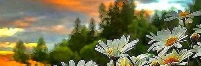 Isa🔔...🐳🐙🦈🐠🐾🐣🐧🎗 banner