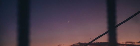 leenskaja's profile banner image