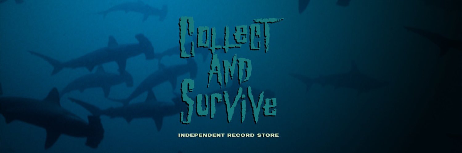 Collect & Survive Record Shop, Liverpool, UK banner