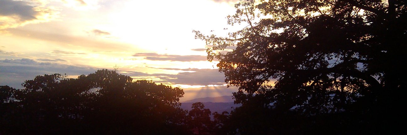 Marce_Molina's profile banner image