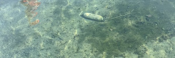 BrunoBotschi Profile Banner