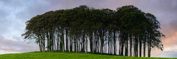 suetthatsme Profile Banner
