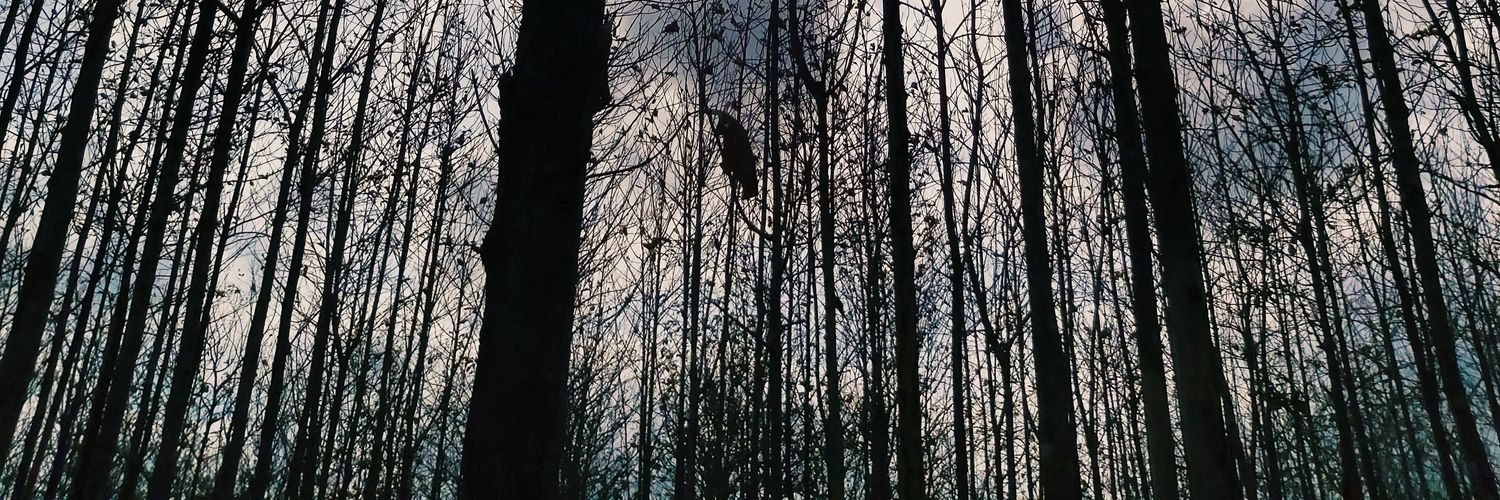 ddeppoyy's profile banner image