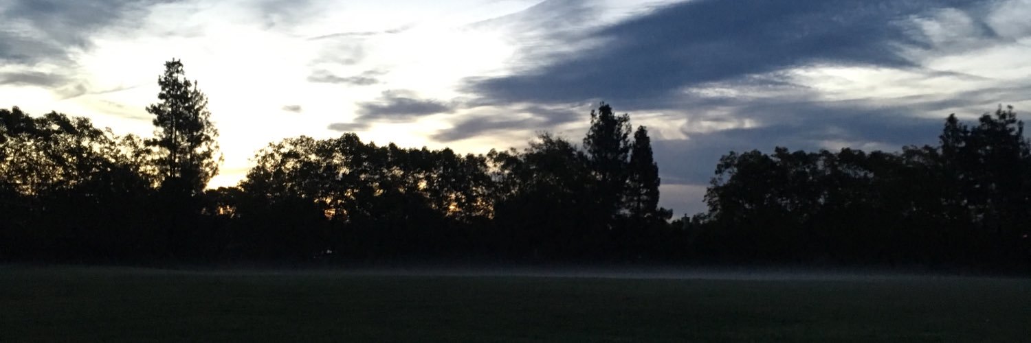 Bernadette Smith banner