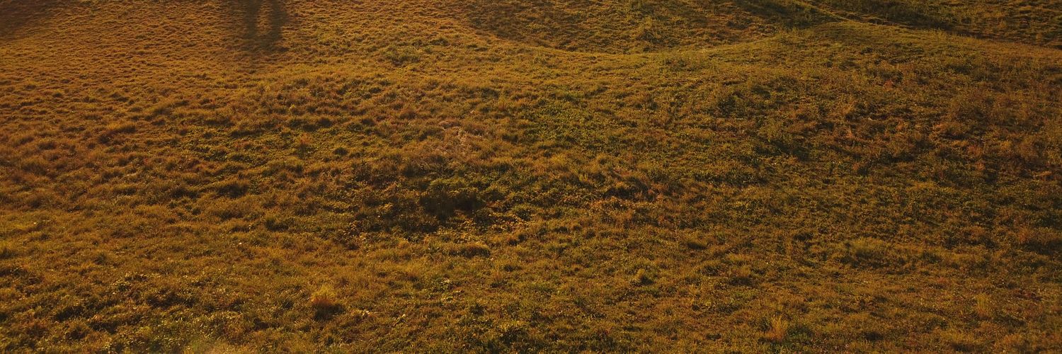 TxellN's profile banner image