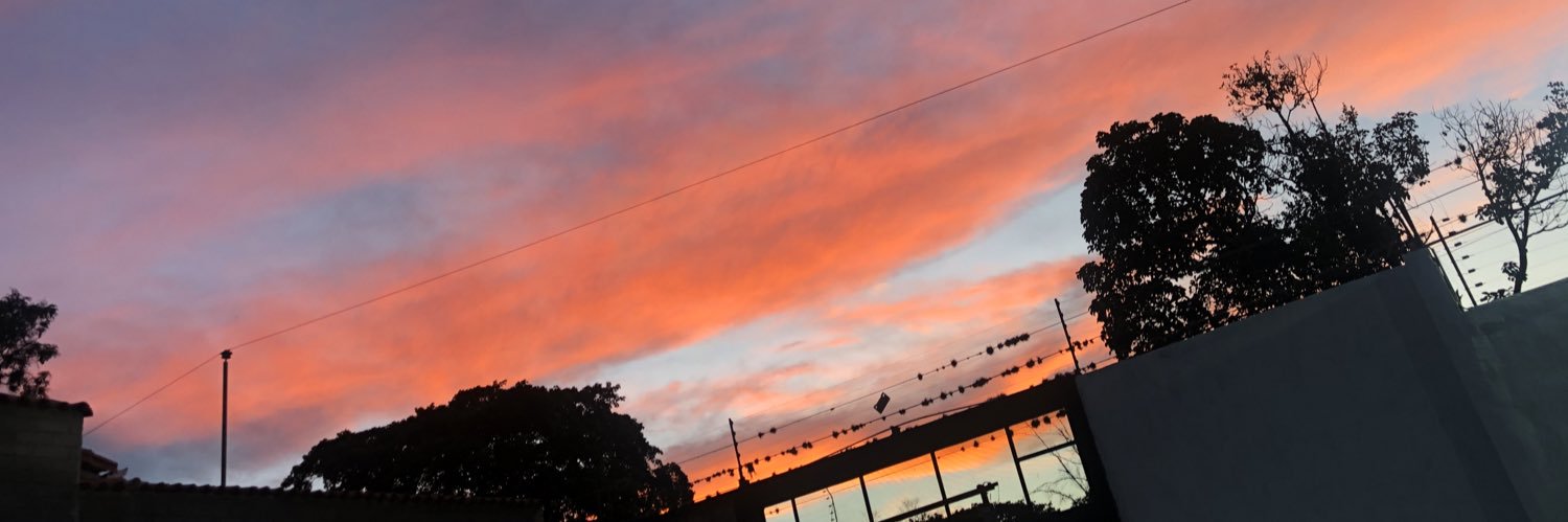 danihenfalcon's profile banner image