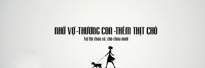 VNoinho's profile banner image