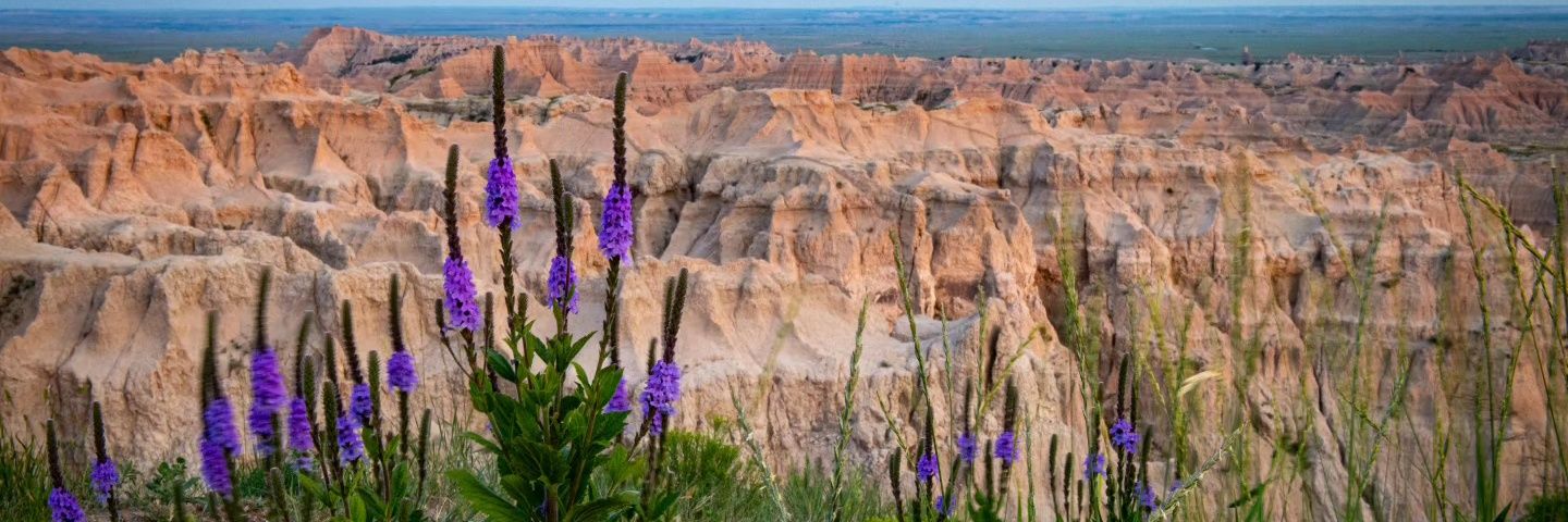 Stivovo 🇺🇸🏈🏀🏐⚾️🏓 banner