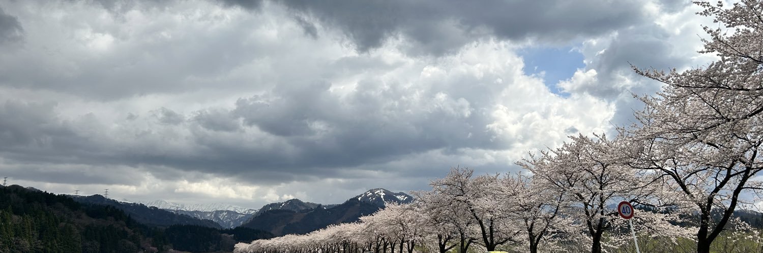 ꕤ華ｓｈｉ❁⃘*.ﾟ banner