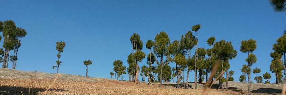 ammadrauf24's profile banner image