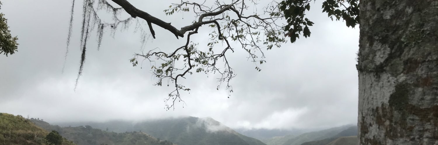 Spanish_Cedar's profile banner image