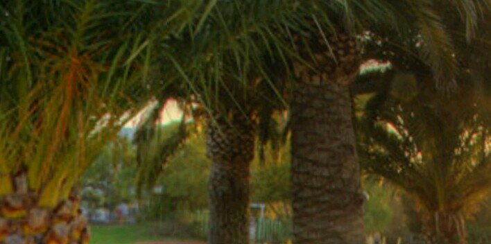 ابو ريان banner