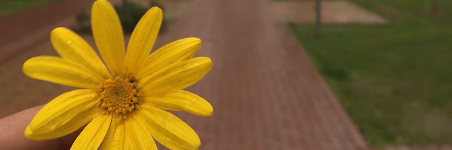 BilginQadir's profile banner image