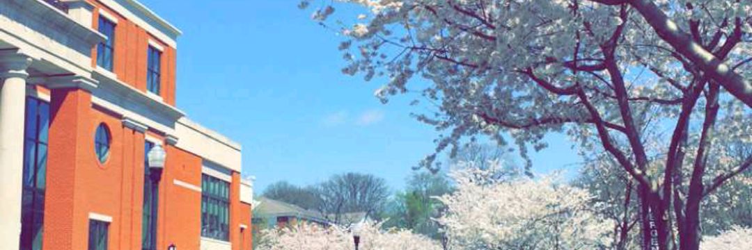 AlaaAbdullah27's profile banner image